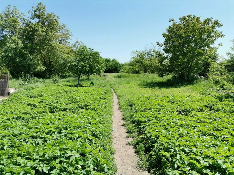 Продажа участка, Полтавская, Красноармейский район, ул. Вольная