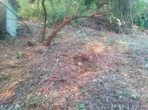 Продажа участка, Сочи, садовое товарищество Здоровье