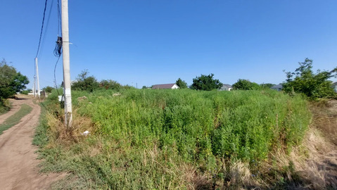 Продажа участка, Темрюкский район, улица Мускатная