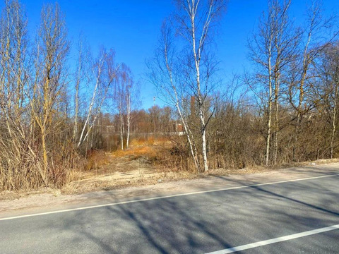 Участок в деревне Клеменово