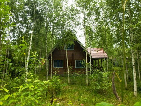 Коттедж, Киевское ш, 105м2, 10 соток в лесу
