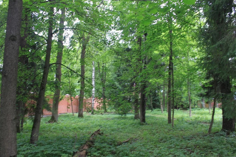 Участок лесной в стародачном посёлке ран Новодарьино на Рублевке