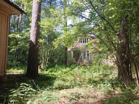 Участок 15,5 сот. (ИЖС)