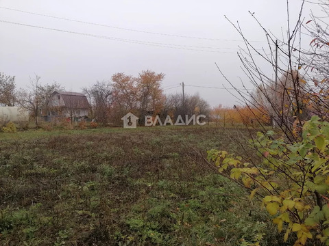 Суздальский район, село Новоалександрово, земля на продажу