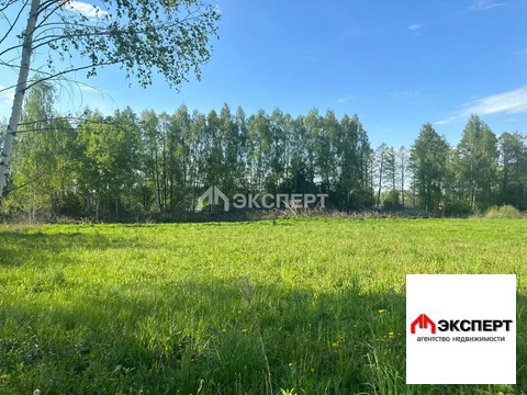 Участок, п. Елизаветино