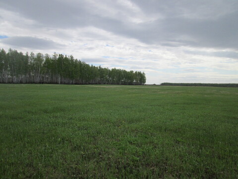 Земельный участок в Красноармейском районе поселок Лазурный