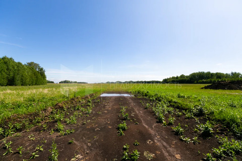 Продажа участка, Кулига, Тюменский район, Тюменский р-н