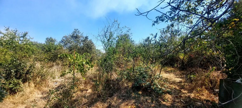 Продажа участка, Северский район