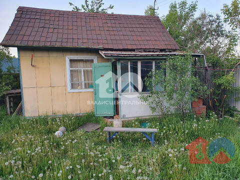 Новосибирский район, садоводческое некоммерческое товарищество ...