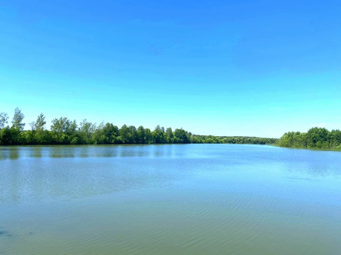 Участок в деревне Карповская