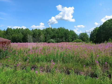 Продажа участка, Каменка, Тюменский район, Тюменский р-н