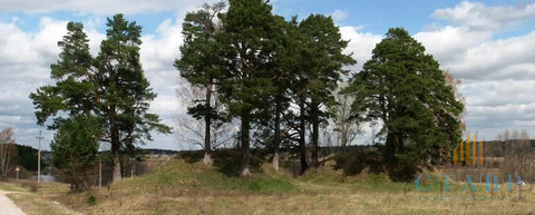 Продажа участка, Филистово, Мошенской район, деревня Филистово