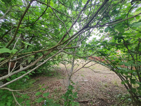 Продажа участка, Северский район