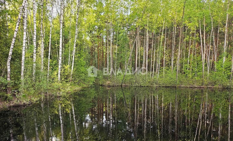 Раменский городской округ, село Зюзино, квартал 10175, Княжеская ...