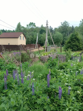 городской округ Солнечногорск, СНТ Культура,  земля на продажу