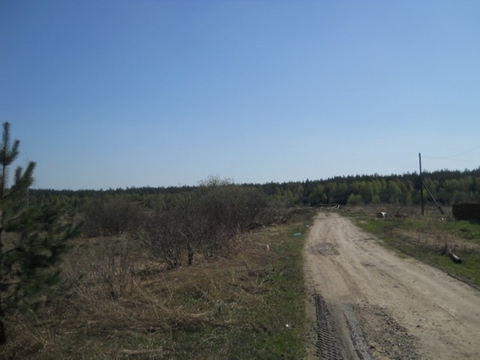 Земельный участок в д.Лаптево, Клепиковского района, Рязанской области