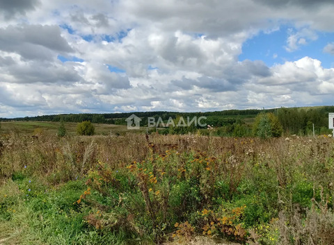 городской округ Владимир, село Мосино, Ленинский район,  земля на ...