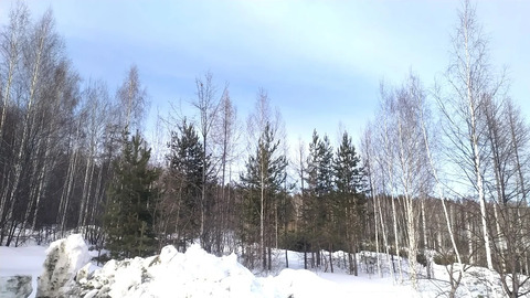 Продам земельный участок в лесной зоне г.Дегтярск