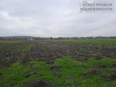 Участок с. Киевское