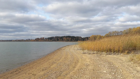 Участок в лесном массиве на берегу Озернинского водохранилища