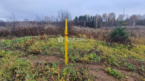 городской округ Владимир, село Спасское, Ленинский район, Раздольная ...