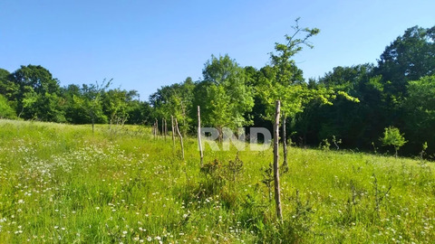 Краснодарский край,  Адлерский район,  11 км от моря, участок 6,5 сот