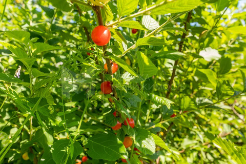 Продажа дома, Тюмень, г Тюмень