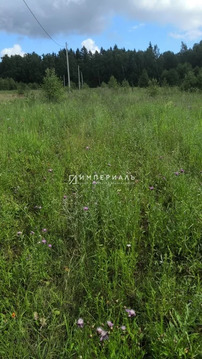 Продаются два земельных участка в Калужской области Малоярославецкого