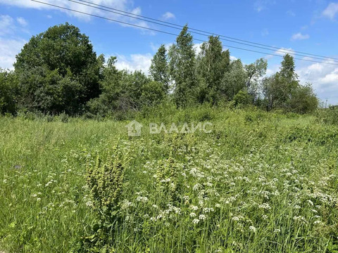 Богородский муниципальный округ, деревня Букино,  земля на продажу