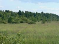Участок 42 сотки до р. Волга 180 метров третья линия, в д. Новое село.