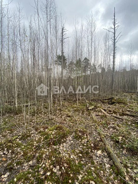 Всеволожский район, Всеволожск, микрорайон Бернгардовка, микрорайон ...