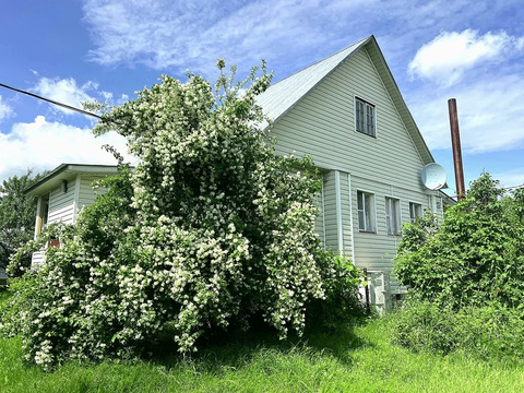 Дом в селе Починки