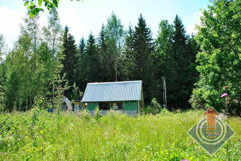 Лесная дача в СНТ Таманец у д. Шапкино, Наро-Фоминский район