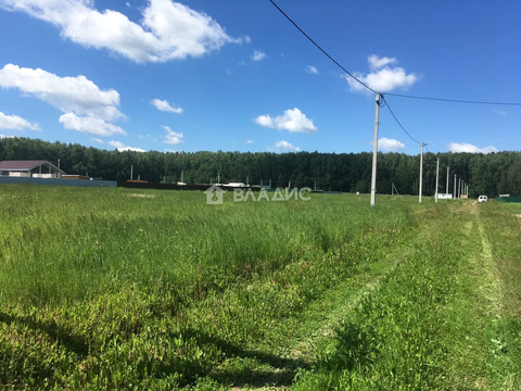 Собинский муниципальный округ, село Бабаево, Грибная улица,  земля на ...