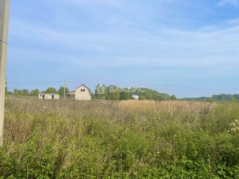 Дмитровский городской округ, деревня Пантелеево,  земля на продажу