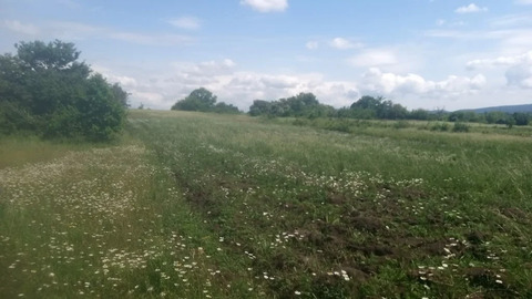 Продажа участка, Гладковская, Крымский район, ул. Виноградная