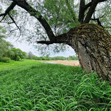 Участки под глэмпинг