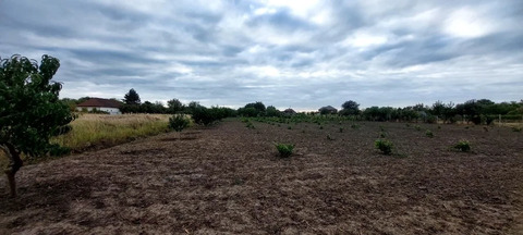 Продажа участка, Оазис, Северский район, ул. Центральная