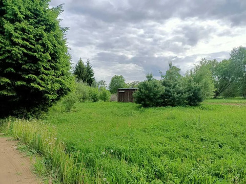 Участок 31 сотка в спокойной деревне Кореньково рядом лес