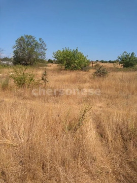 Продажа участка, Севастополь, территория СТ Эллада-1