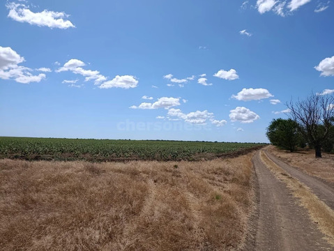 Продажа участка, Наташино, Сакский район, ул. 50 лет ВЛКСМ