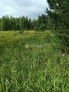 Суздальский район, село Овчухи,  земля на продажу