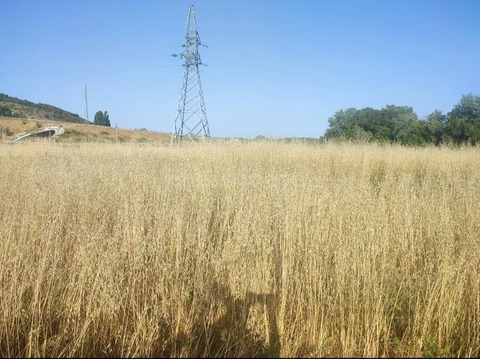 Продажа участка, Севастополь, ул. Виноградная