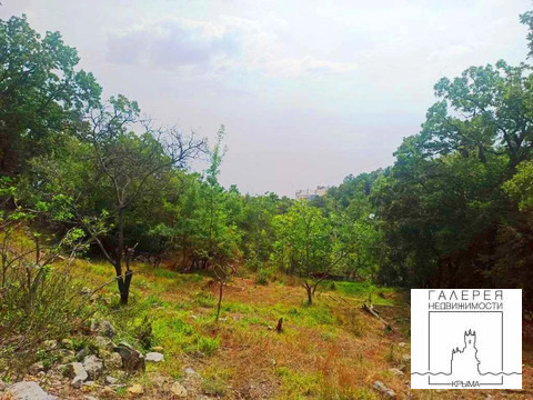 №4436 Видовой участок 14 сот. в Гаспре