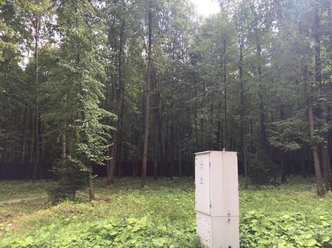 Лесной участок 15 соток, в поселке бизнес-класса, г. Москва.