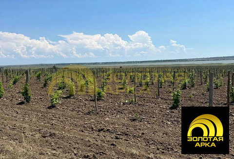 Продажа участка, Старотитаровская, Темрюкский район, Ильича пер.