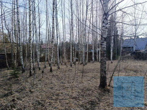 7,5 соток в д. Селищево, СНТ Прибрежный