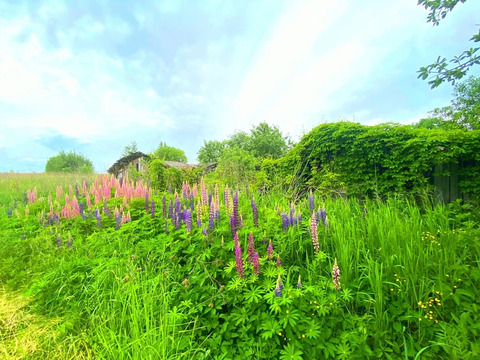 Участок в деревне Якушевичи