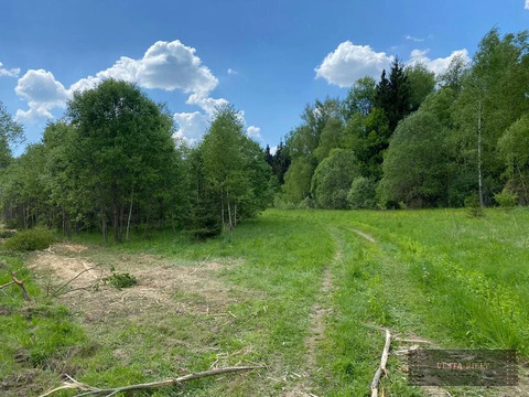 Участки у леса