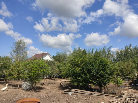 Продажа участка, Цибино, Воскресенский район